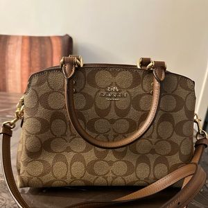 Mini Lillie Carryall In Signature Canvas Coach Bag